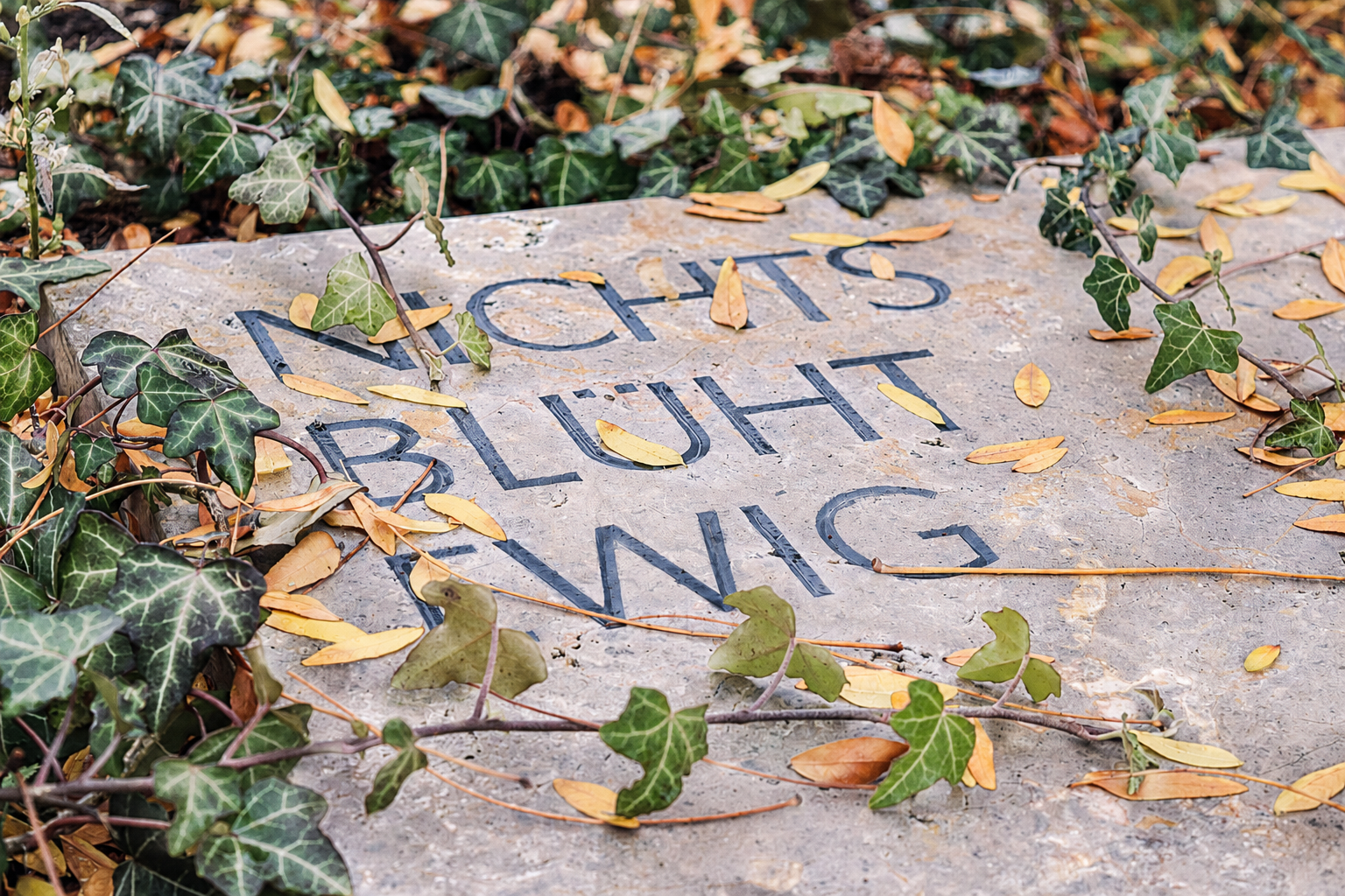 Liegende Grabplatte mit der Inschrift „Nichts blüht ewig", umrankt von Efeu und Herbstlaub